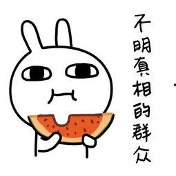 娱乐吃瓜酱谈世面,娱乐吃瓜酱带你领略世间百态