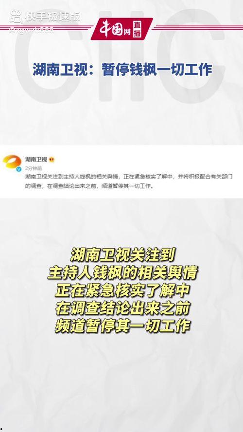 娱乐圈吃瓜表格,明星幕后故事全记录